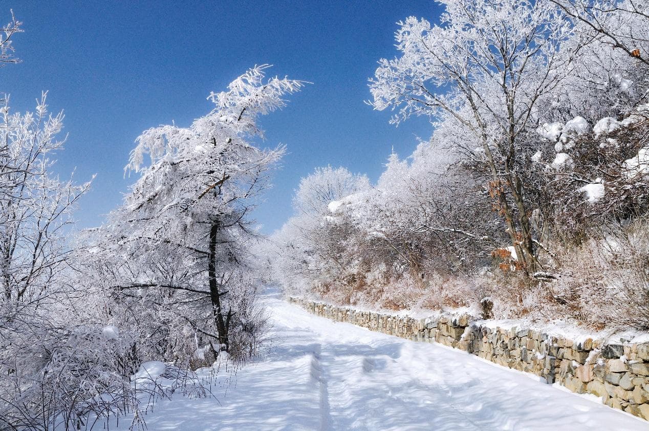 大雪至，仲冬始：节气里的自然密码与诗意生活