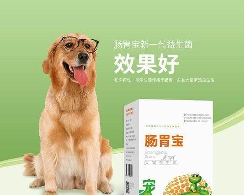 狗狗药物过量怎么解毒？中毒后应采取哪些紧急措施？