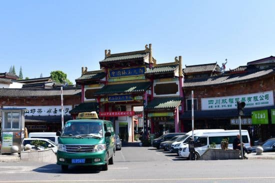 扎根原产地 助力川茶香万里
