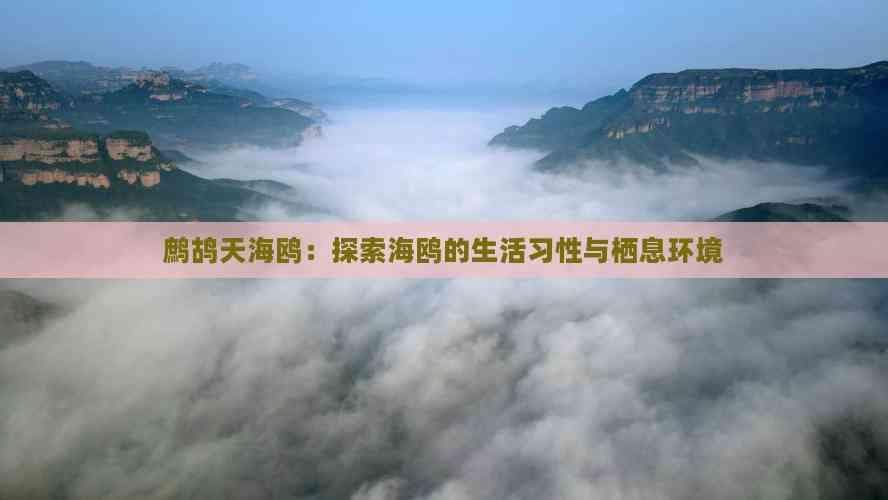 鹧鸪天海鸥：探索海鸥的生活习性与栖息环境