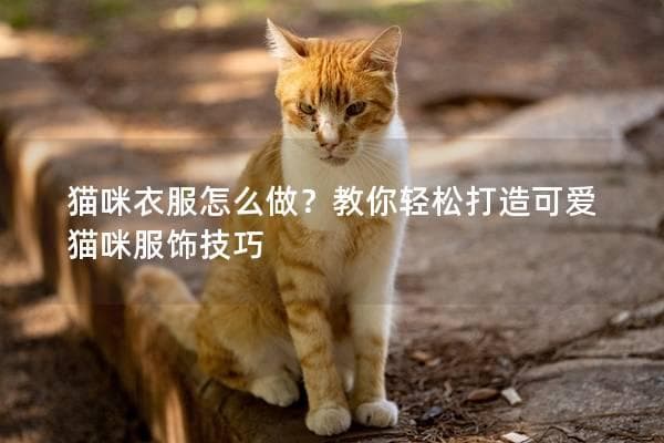 猫咪衣服怎么做？教你轻松打造可爱猫咪服饰技巧