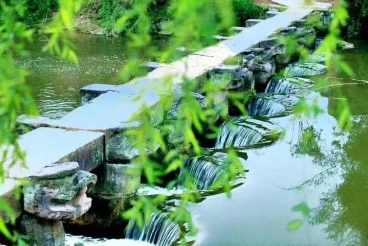 重庆九龙坡区：乡村寻“龙” 尽享亲子时光 感受乡村年味