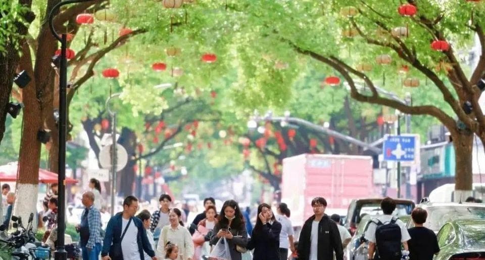 绍兴府横街变身"小吃一条街"，国庆前三天接待2.7万人次