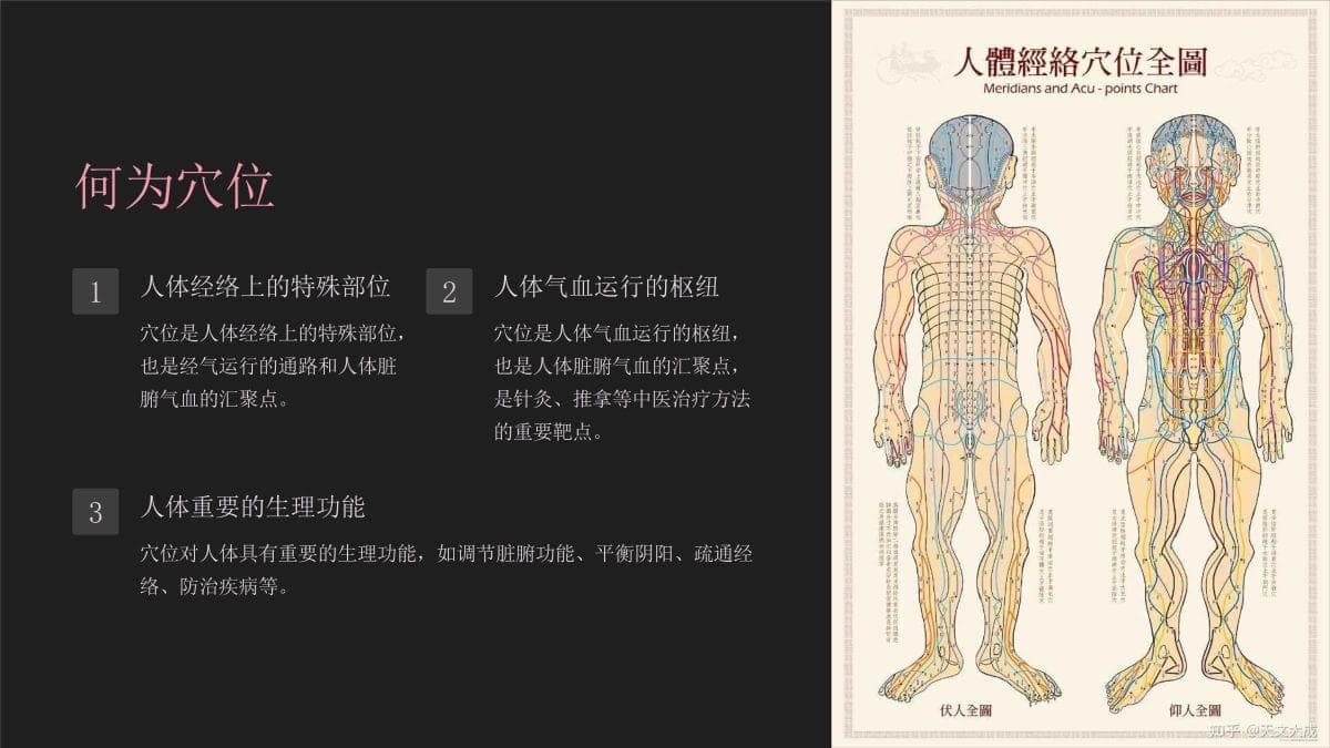 常见穴位及定位：中医基础知识详解