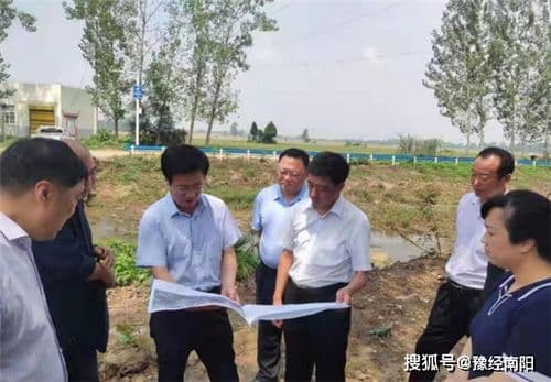 “宠物健康调查，萌宠守护指南！”