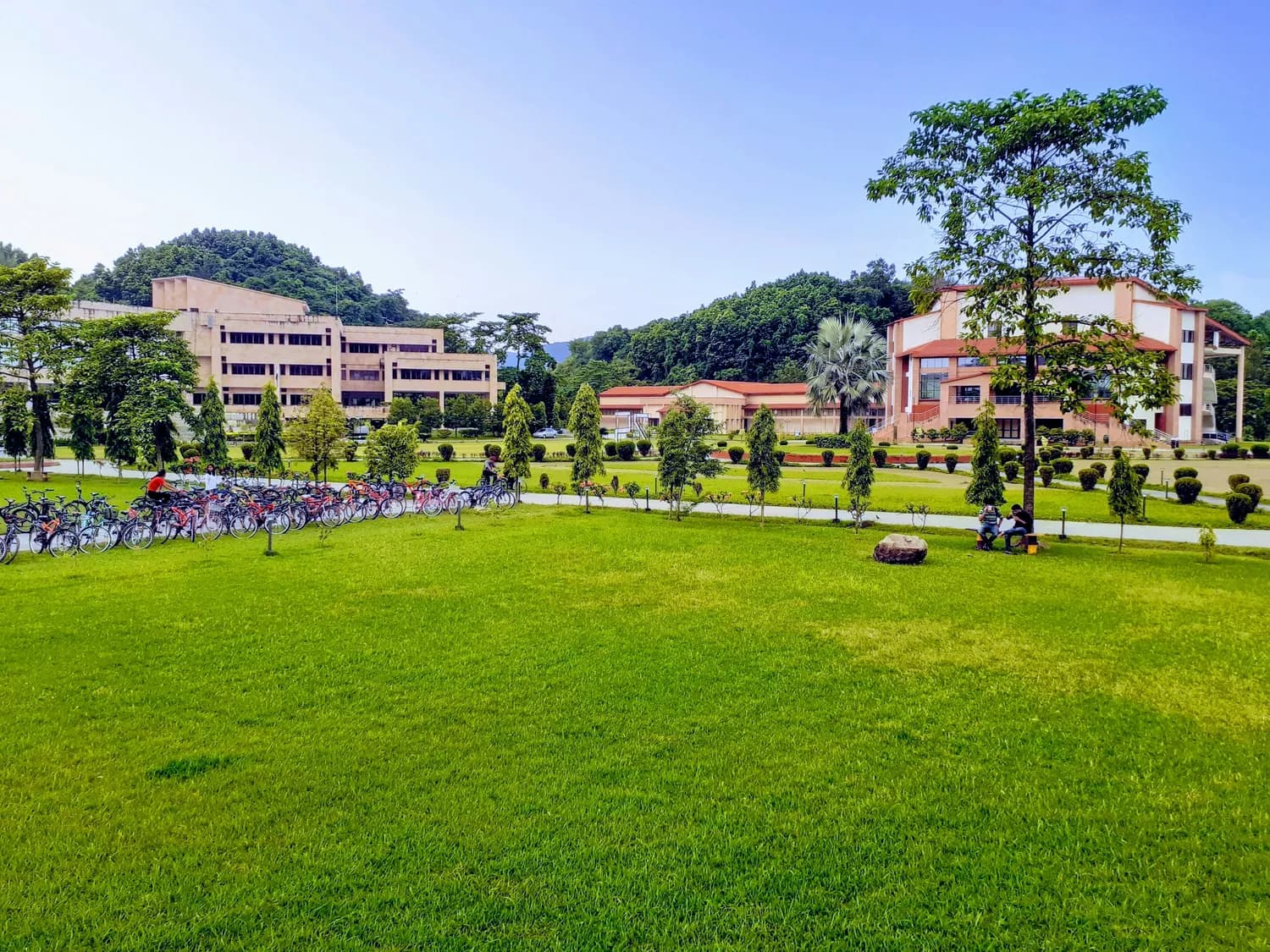 肇庆学院2024年录取分数线出炉！