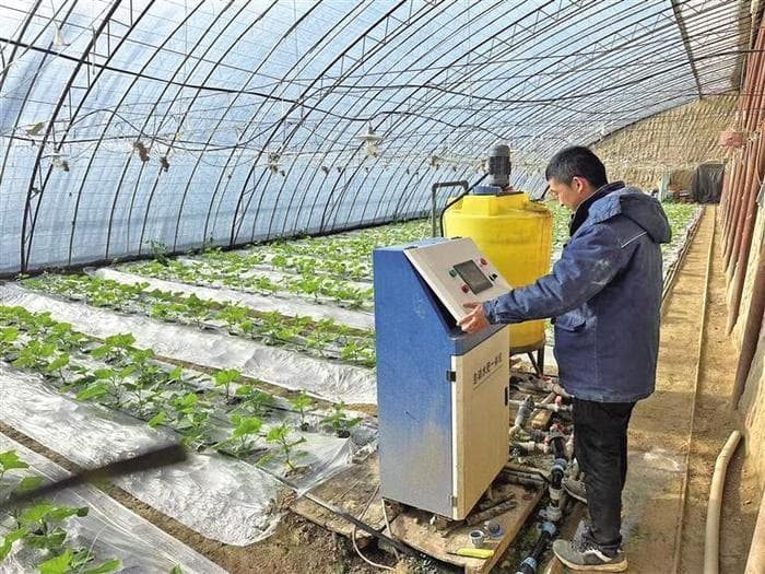 “链式思维”激发延安乡村振兴新动能