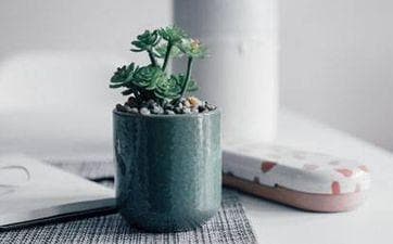江苏端午节七大传统民俗：从龙舟竞技到佩香囊