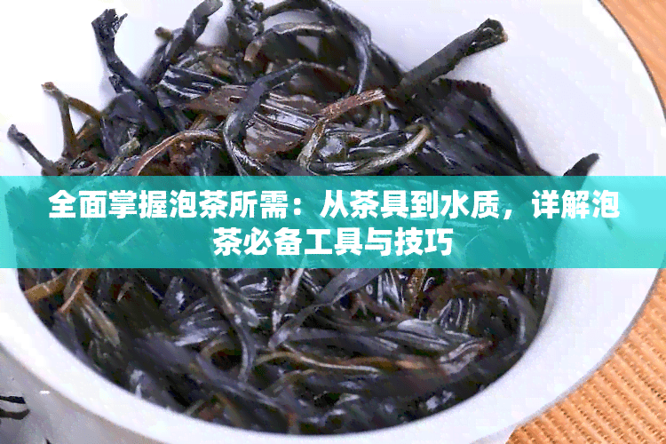 全面掌握泡茶所需：从茶具到水质，详解泡茶必备工具与技巧