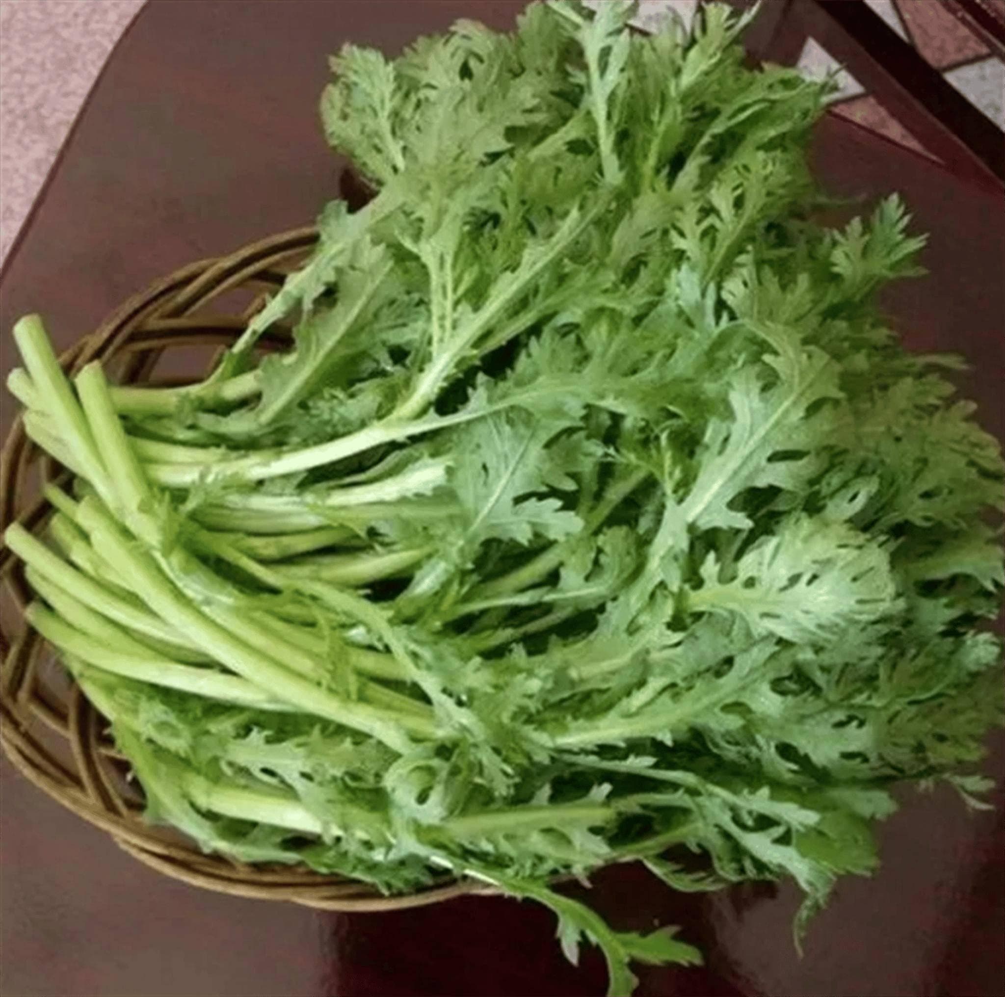 茼蒿保鲜这样做：四种方法让绿叶菜更持久