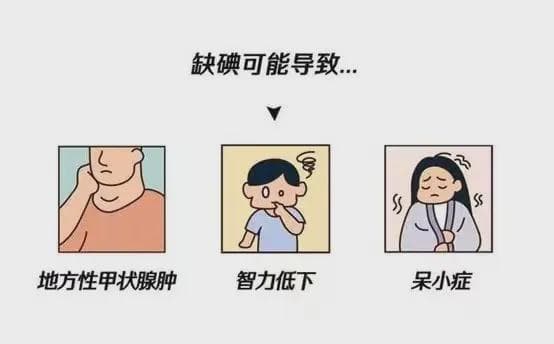了解碘: 从必要元素到健康生活的守护者