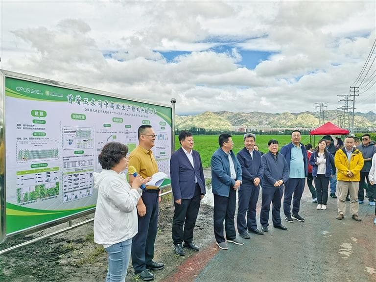 科技创新“探路” 破解粮草争地