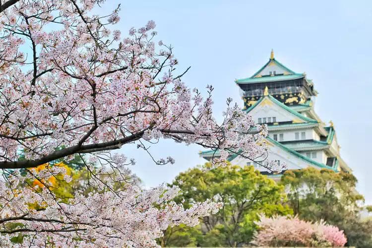 日本旅游淡旺季，节日庆典与公共假期介绍，合理安排出游时间