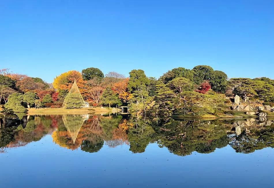 11月东京的观光景点与活动推荐