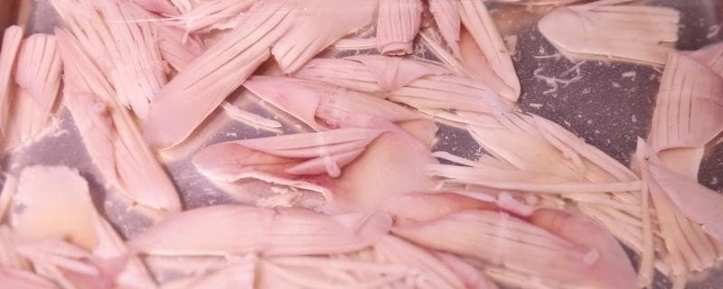 鱿鱼干怎么制作比较简单