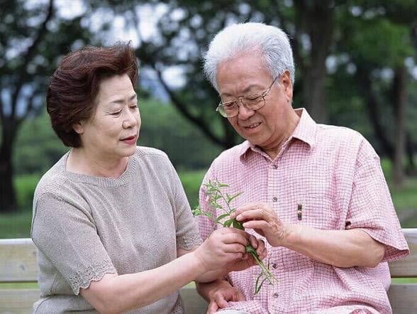 中老年人应该补什么 中老年人营养品如何选购