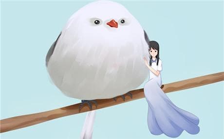 两夫妻失去信任，建立信任3招
