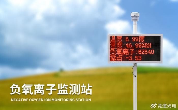 实时监测与数据分析：推动森林生态健康的监测系统