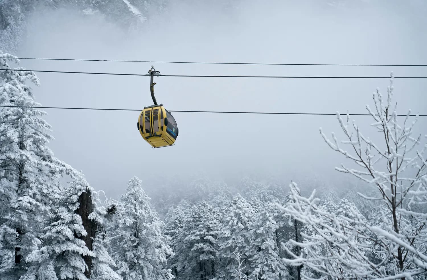 老君山雪景打卡：金顶亮灯美爆朋友圈