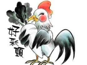 鸡和牛合不合婚姻，化解鸡和牛的婚姻相冲