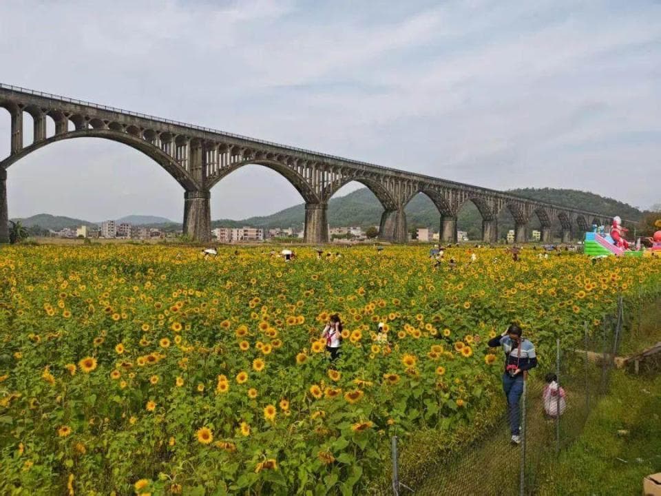 云浮市罗定长岗坡文化休闲旅游区获评国家3A级旅游景区