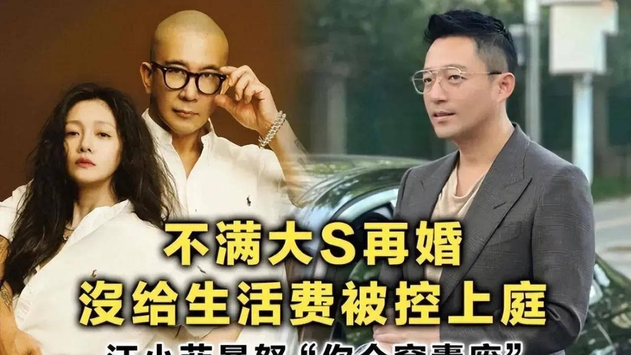 大S韩国综艺复出，薪酬锐减引热议