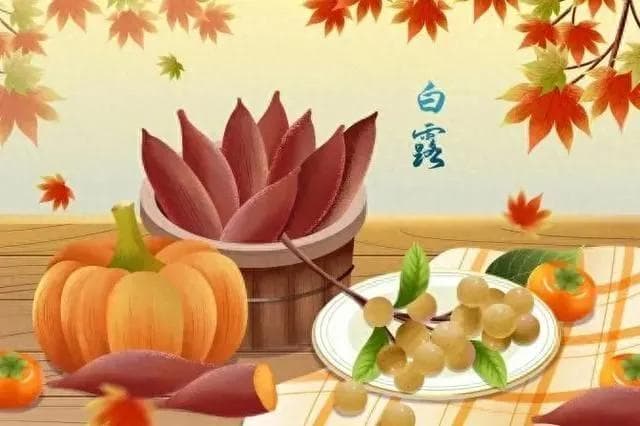 白露养生全攻略：从日常保健到食疗指南
