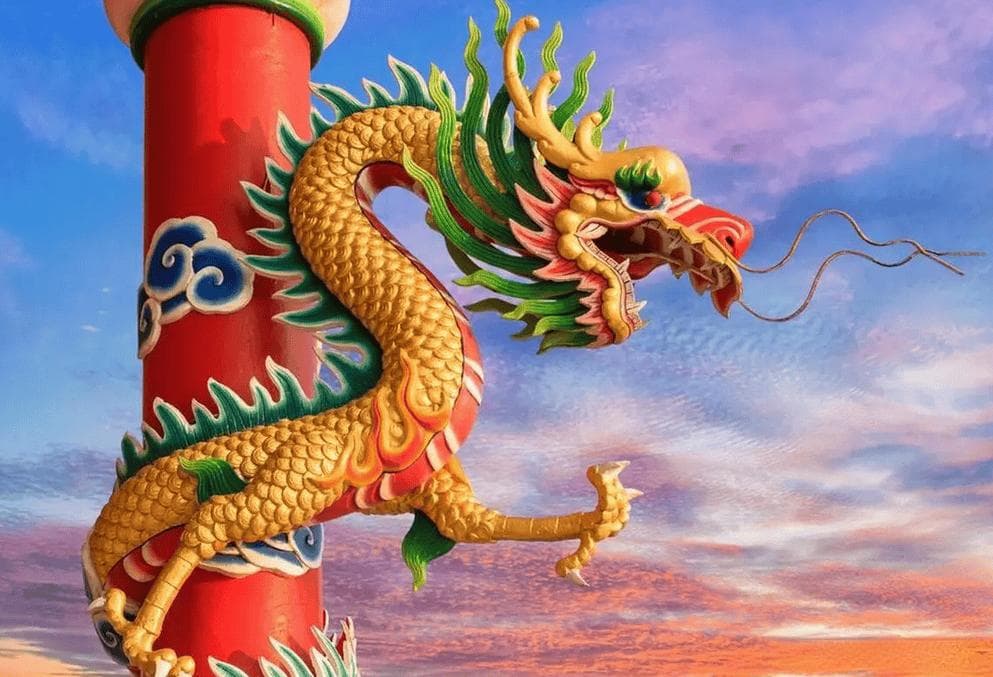 属龙的人是什么命