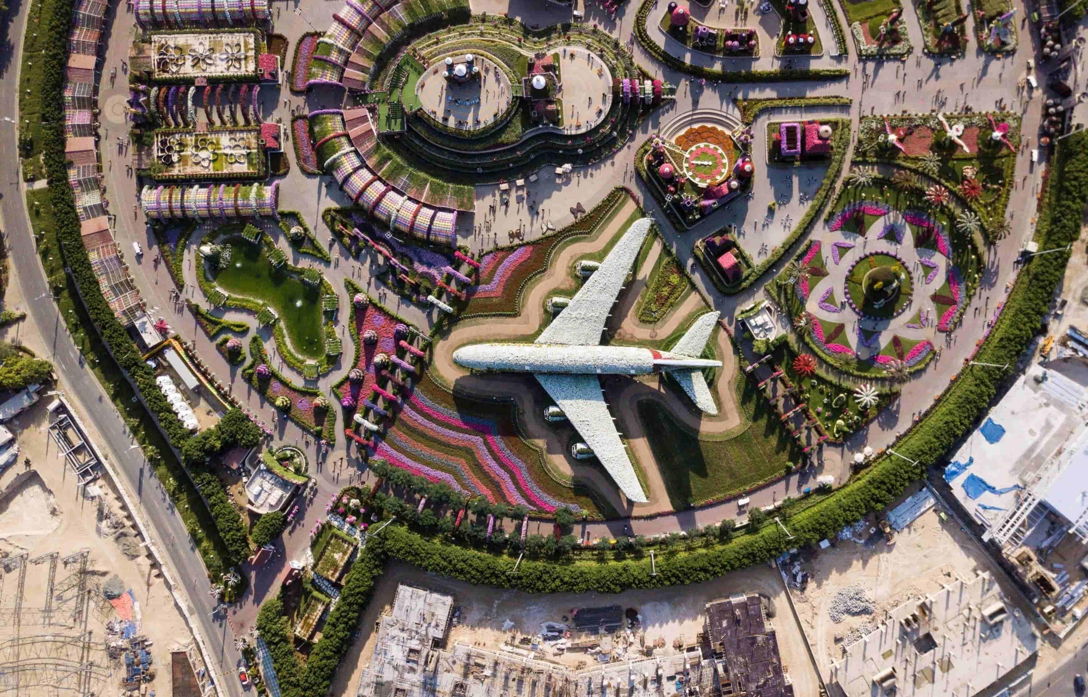 绘画孙悟空的技巧与心得分享：从构图到上色的全方位指导