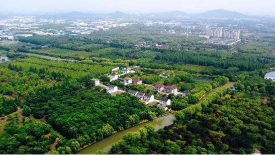 森林覆盖率稳步提升！住在赵巷的惬意感随“绿”而来
