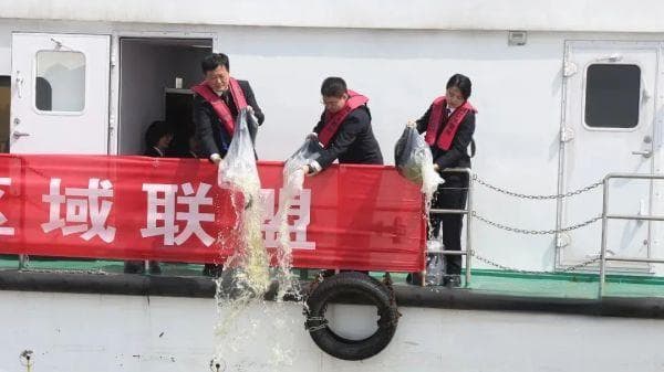 共同守护“母亲河”！长江（南京-镇江段）生态环境资源保护跨区域联盟成立