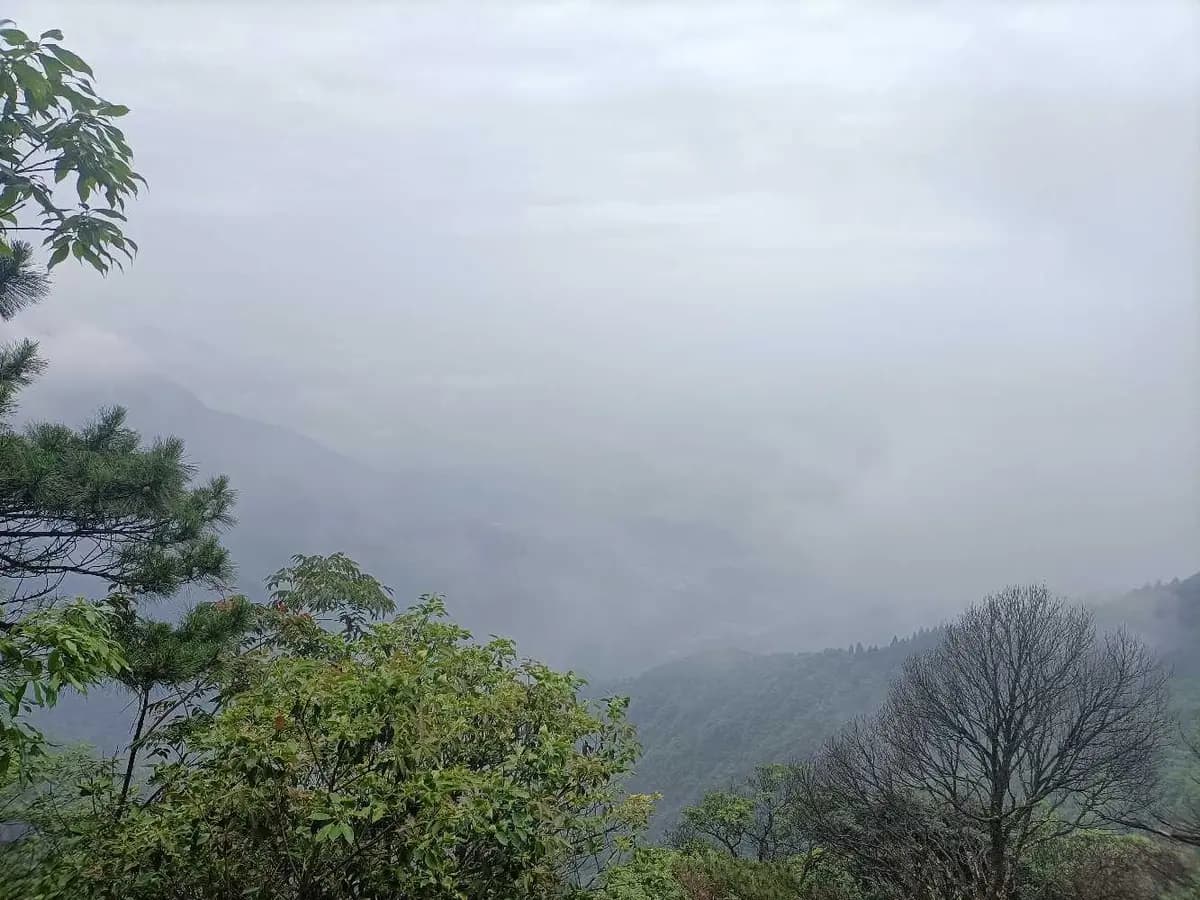 运用奥卡姆剃刀定律，享受简单生活