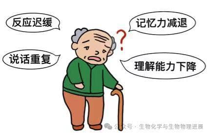 改善认知损伤的有效手段——光疗