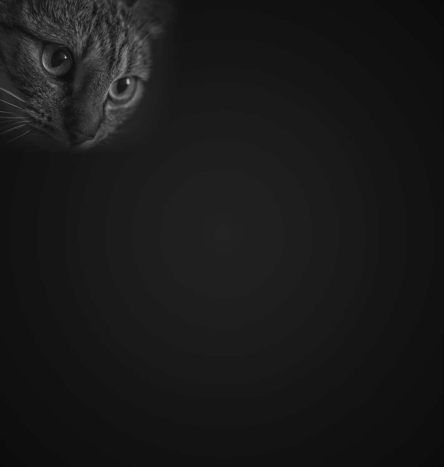 《猫鱼》：陈冲用632页书写家族三代知识分子心灵史