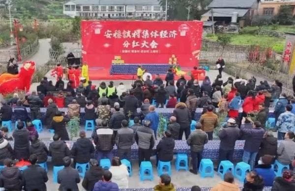 重庆綦江安稳镇：山羊产业带动村民增收，集体经济跑出“加速度”