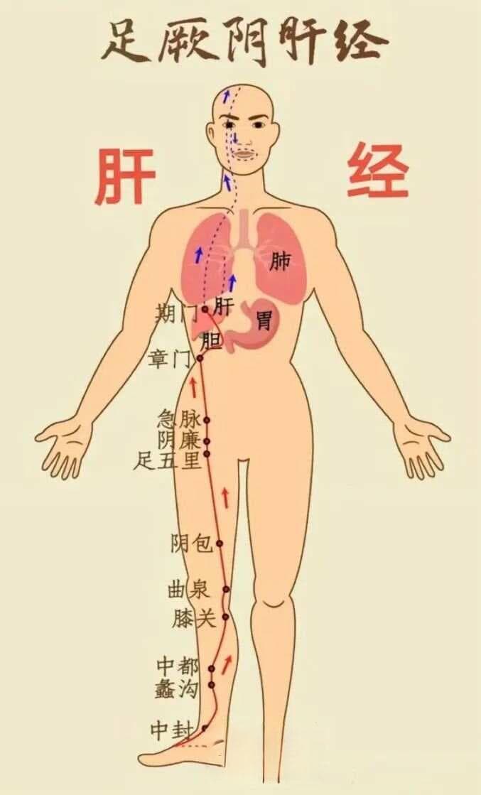 眼花要补肝，口苦要清肝，白发要调肝，3个养肝护肝的方法，帮你养出好肝脏！