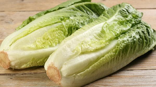生菜冷藏还是常温保存
