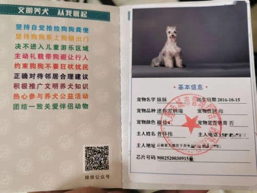 宠物免疫证申请指南