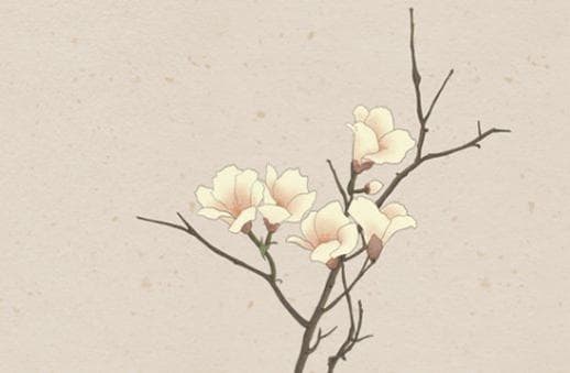 公司英文名字大全,好听的英文公司名称