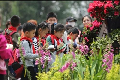 大咖素质训练营：探究式教育的全新实践