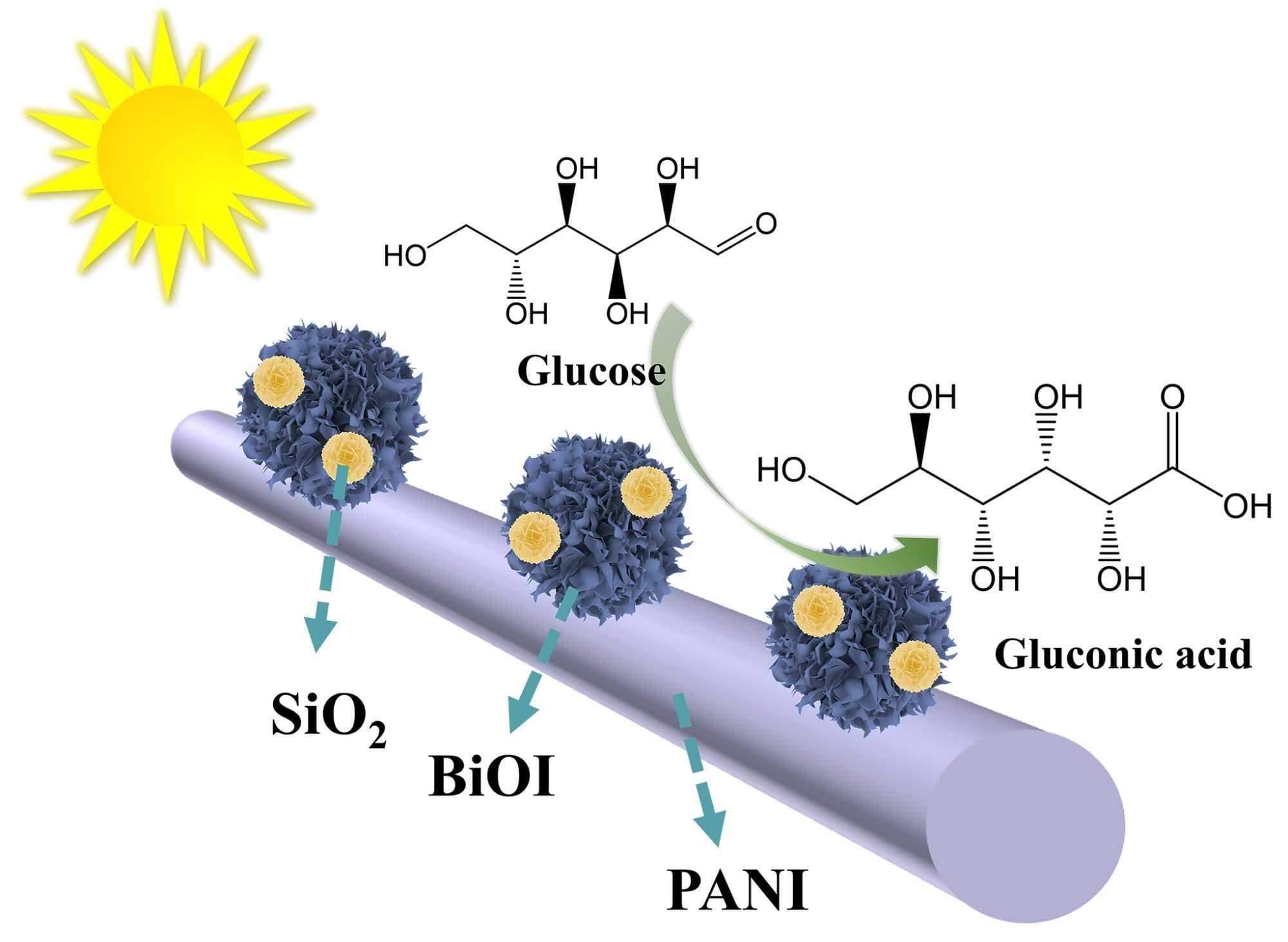 基于BiOI/PANI的光电化学传感器超灵敏检测葡萄糖