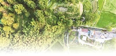 “中国游”的风吹进了乡村