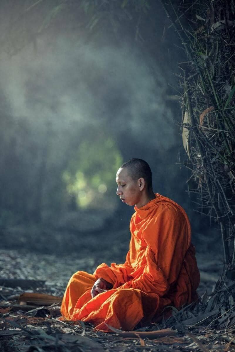 庄子：想要活得自在，一定要培养一个很绝的心态——我不要了！