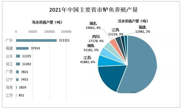 2024年鲈鱼行业现状分析：我国鲈鱼养殖产量达到90.12万吨