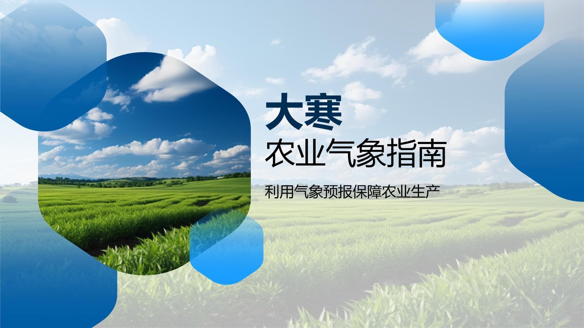 大寒将至，农业生产如何应对低温挑战？
