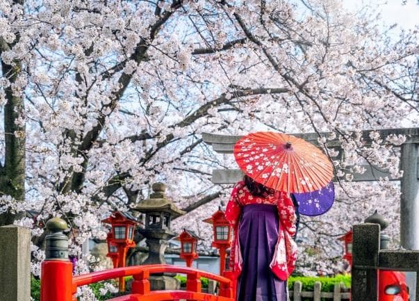 日本留学城市推荐：东京、京都、大阪、北海道如何选择