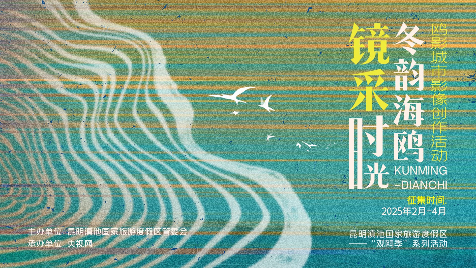 用镜头续写昆明四十年人鸥情缘——滇池度假区“观鸥季”城市影像征集活动启动