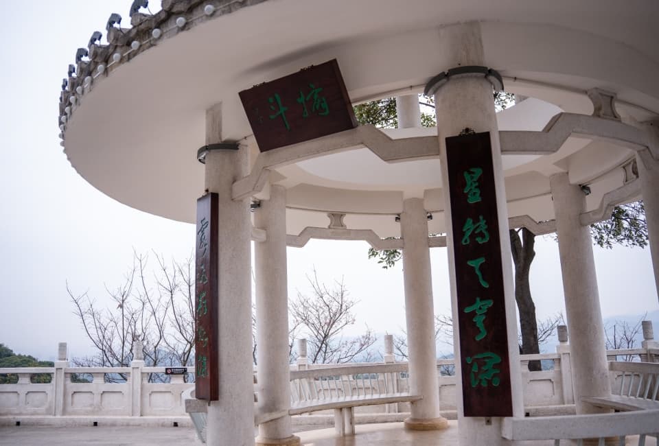 樱花初绽，来摩星岭看广州的早春