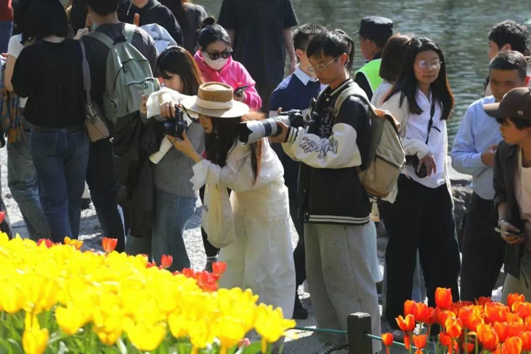 太子湾公园赏花全攻略：交通指南及周边景点推荐