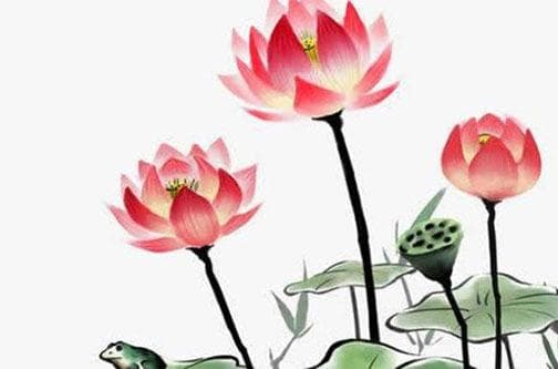 大运流年都冲夫妻宫 婚姻宫被流年冲动有动婚之兆